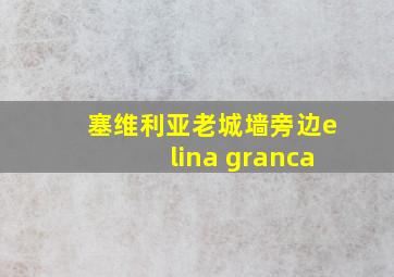 塞维利亚老城墙旁边elina granca